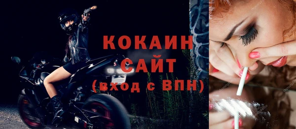 сатива Вяземский