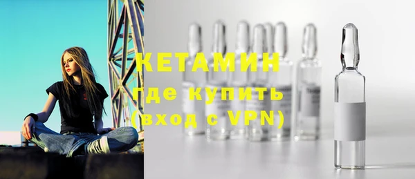 сатива Вяземский