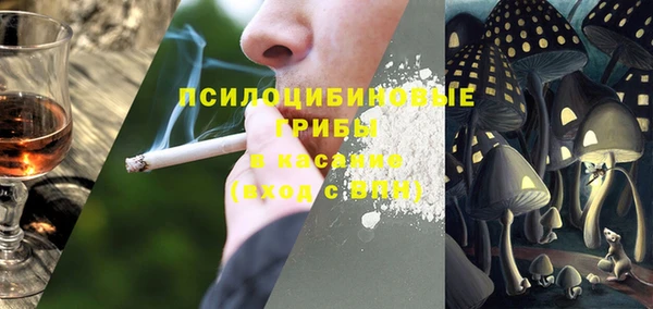 амф Володарск